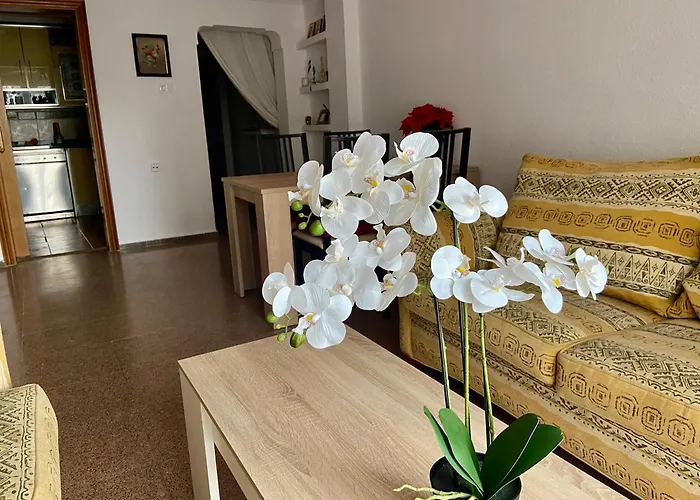Apartments In The Heart Of Santa Pola